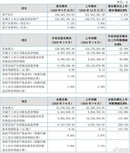 聯(lián)迪信息2025年第三季度凈虧損316.48萬元，內(nèi)銷收入下滑拖累業(yè)績(jī)