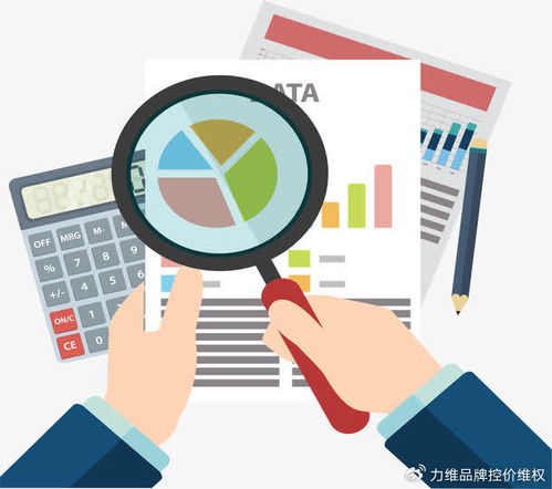 專業(yè)電商數(shù)據(jù)分析服務 數(shù)據(jù)處理如何賦能品牌破局增長